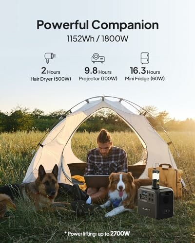 Camping scene with a person using a laptop, two dogs, and a portable power station outside a tent.